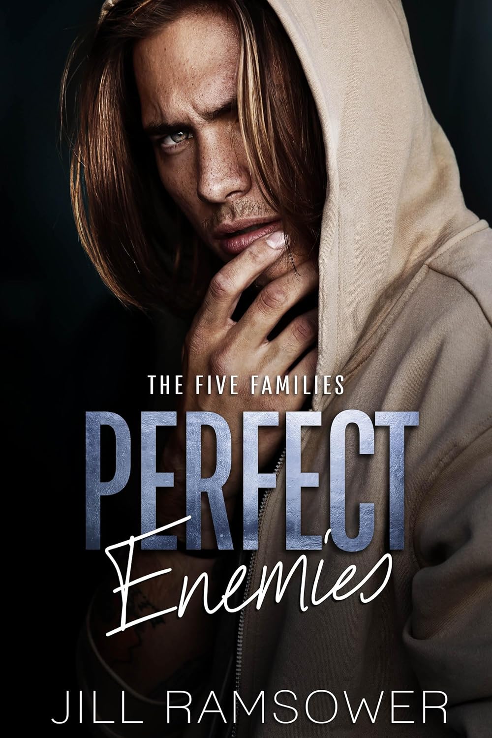 Perfect Enemies (The Five Families, #6)