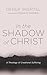 In the Shadow of Christ: A Theology of Creational Suffering