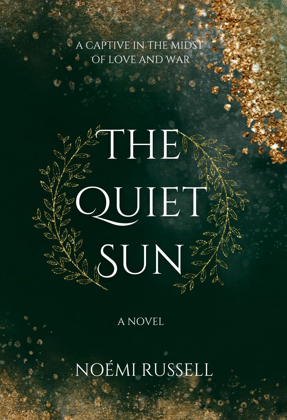 The Quiet Sun (Paperback)