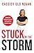 Stuck in the Storm: Break f...