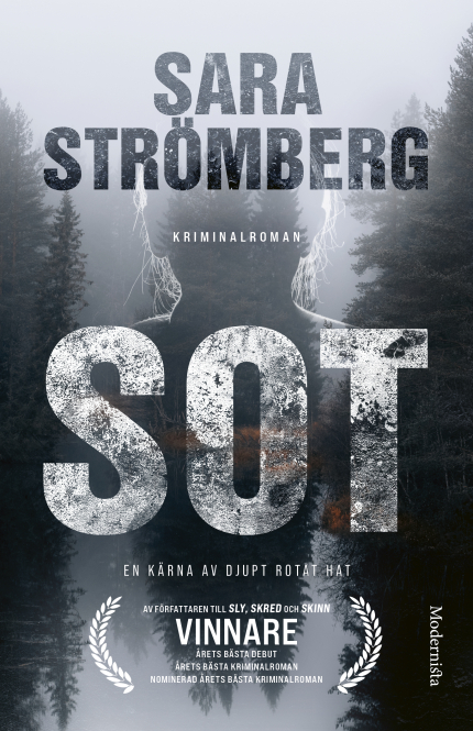 Sot (Vera Bergström, #4)