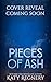 Pieces of Ash: A Dark Fairytale Romance Retelling