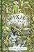 Pixie Folk Tales