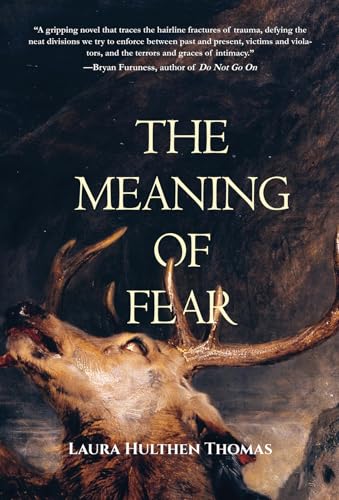 The Meaning of Fear (Paperback)