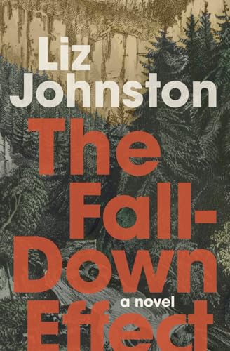 The Fall-Down Effect (Paperback)