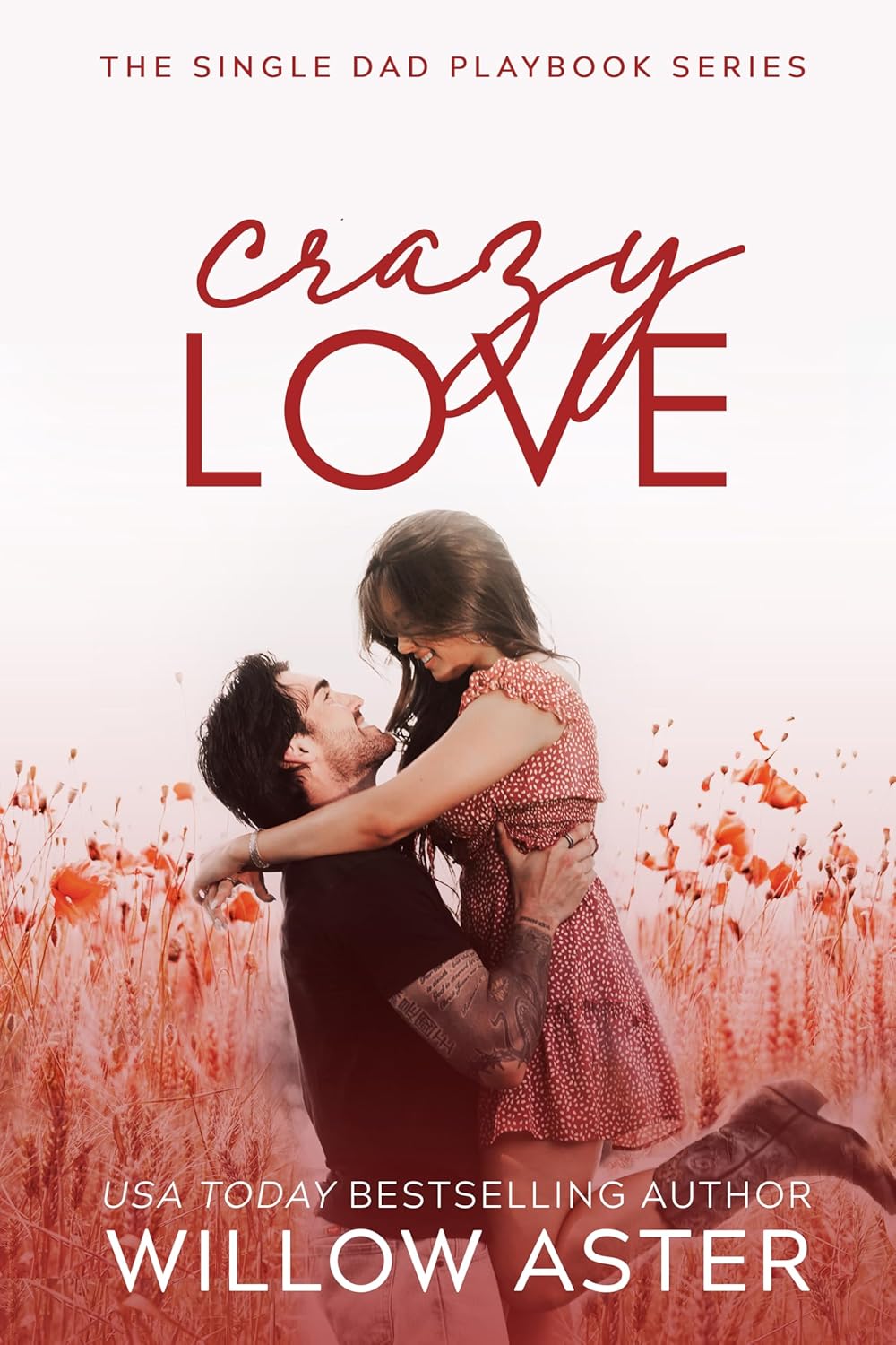 Crazy Love  (The Single Dad Playbook #5)
