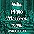 Why Plato Matters Now