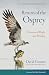 Return of the Osprey: A Sea...