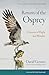 Return of the Osprey: A Season of Flight and Wonder