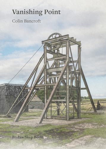 Vanishing Point (Paperback)