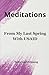 Meditations From My Last Sp...