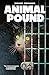 Animal Pound (Italian Edition)