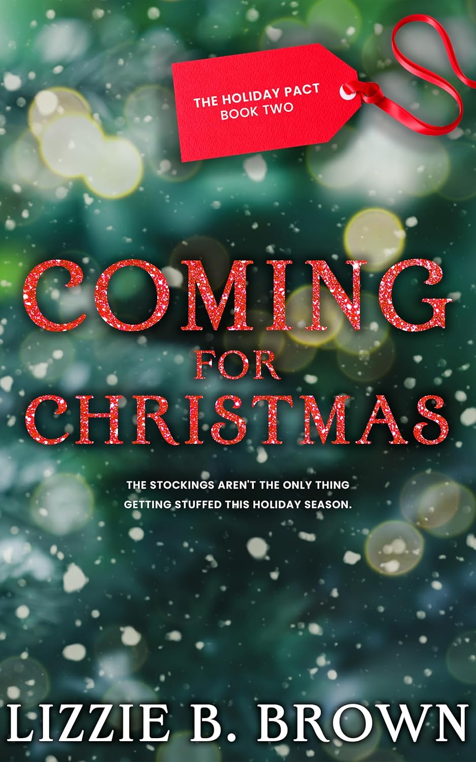 Coming for Christmas (The Holiday Pact #2)