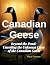 Canadian Geese: Beyond the ...