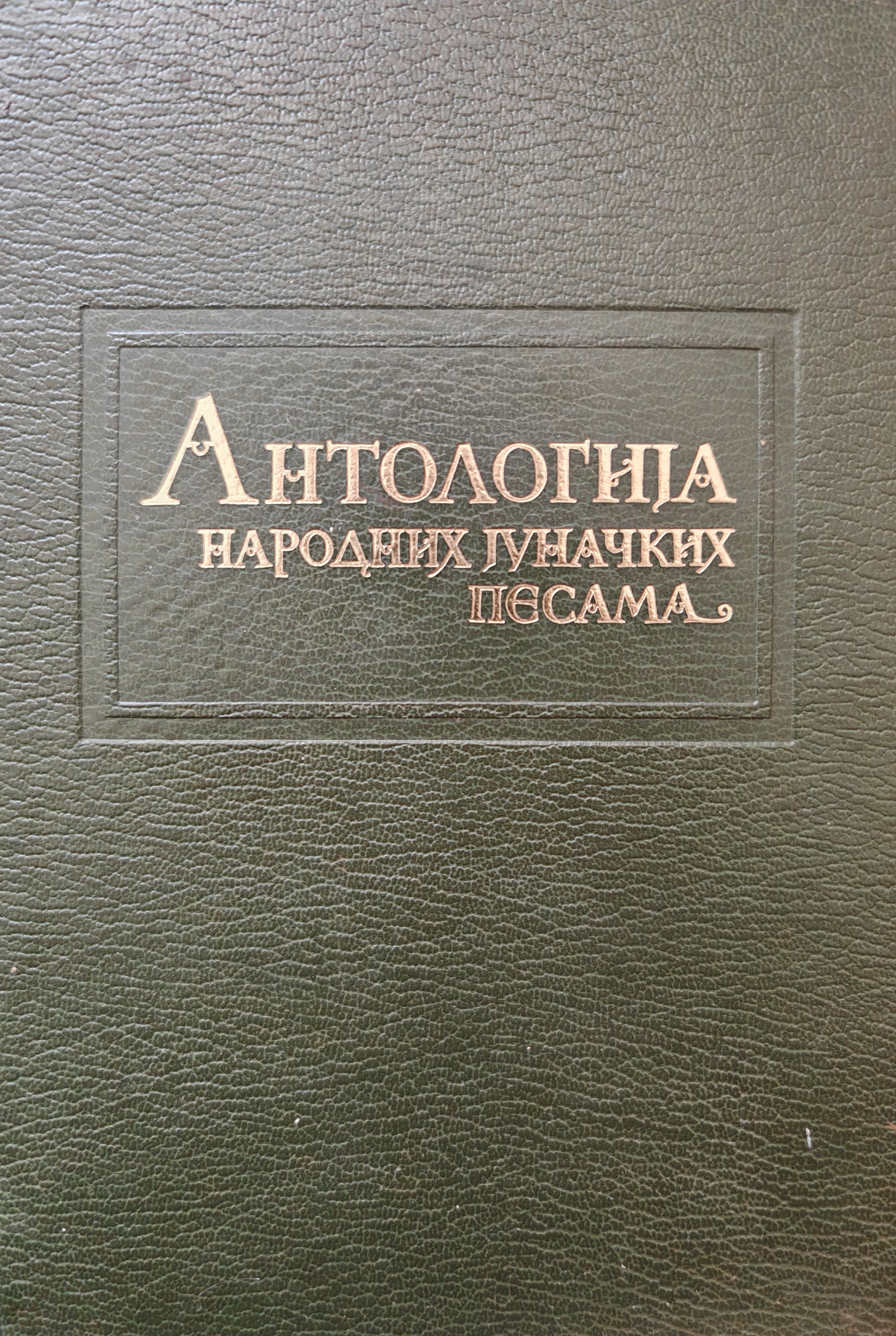 Antologija narodnih junačkih pesama (Hardcover)