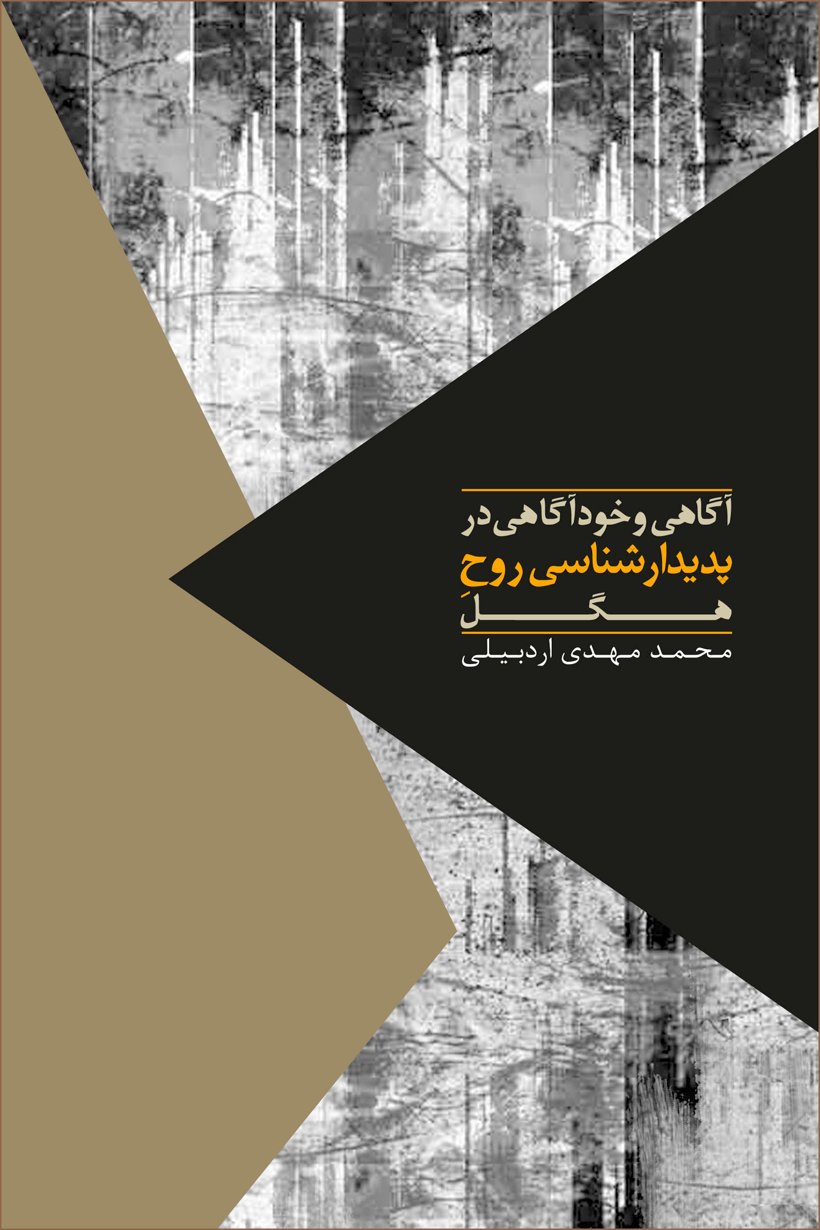 آگاهی و خودآگاهی در پدیدار شناسی روح هگل (Paperback)