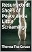 Resurrected! Shoes of Peace and a Little Screaming by Theresa Tisa Caruso