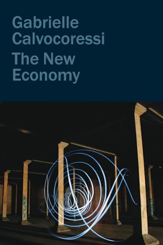 The New Economy (Hardcover)