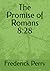 The Promise of Romans 8:28