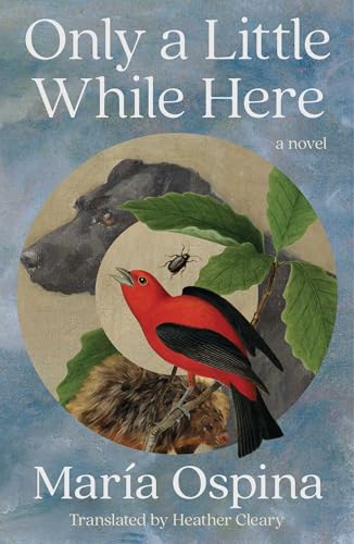 Only a Little While Here (Hardcover)