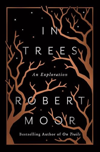 In Trees: An Exploration (Hardcover)