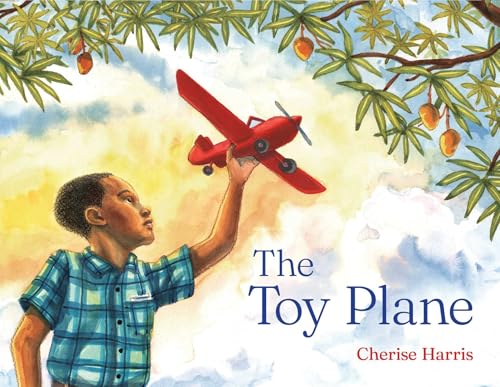 The Toy Plane (Hardcover)