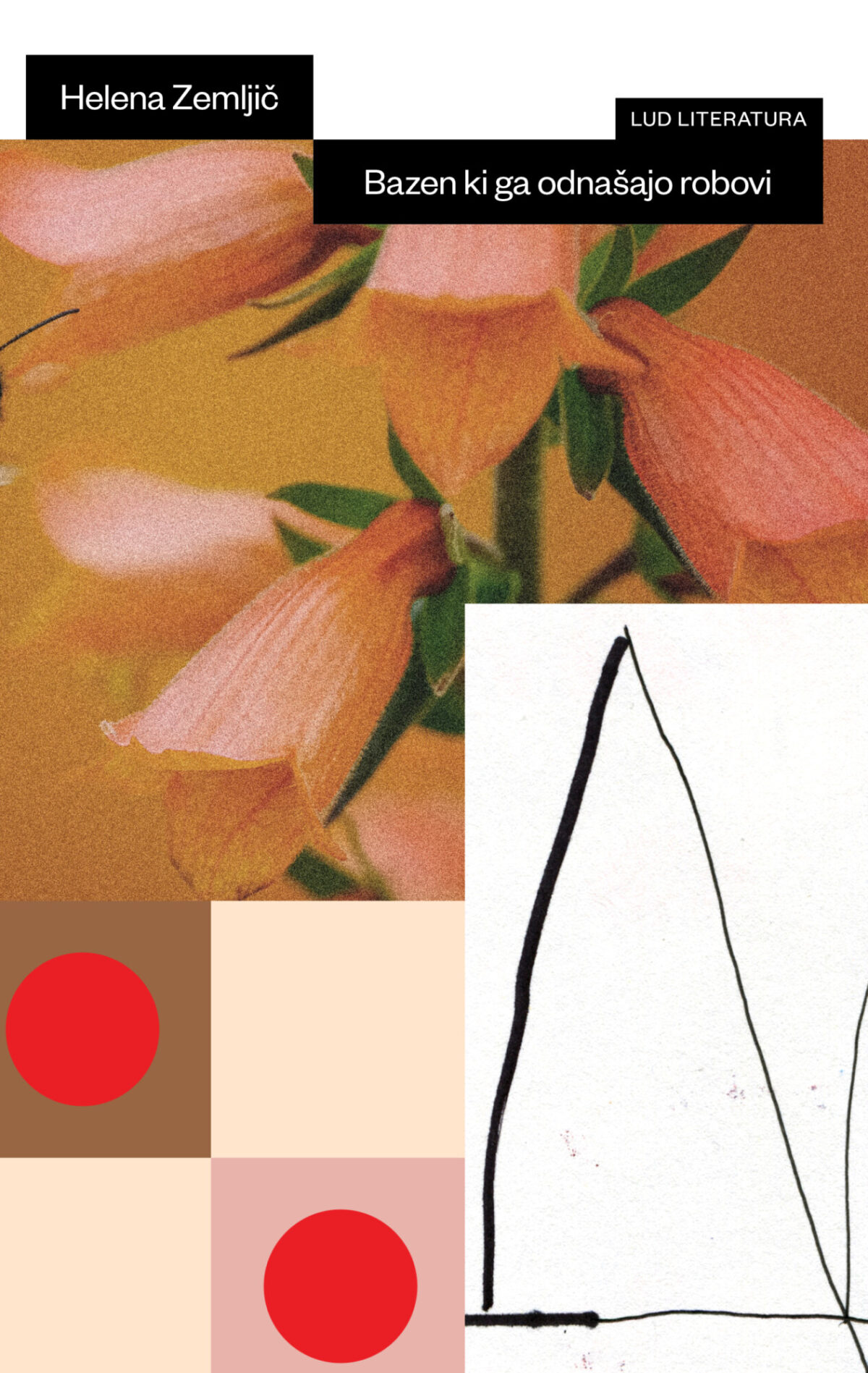 Bazen ki ga odnašajo robovi