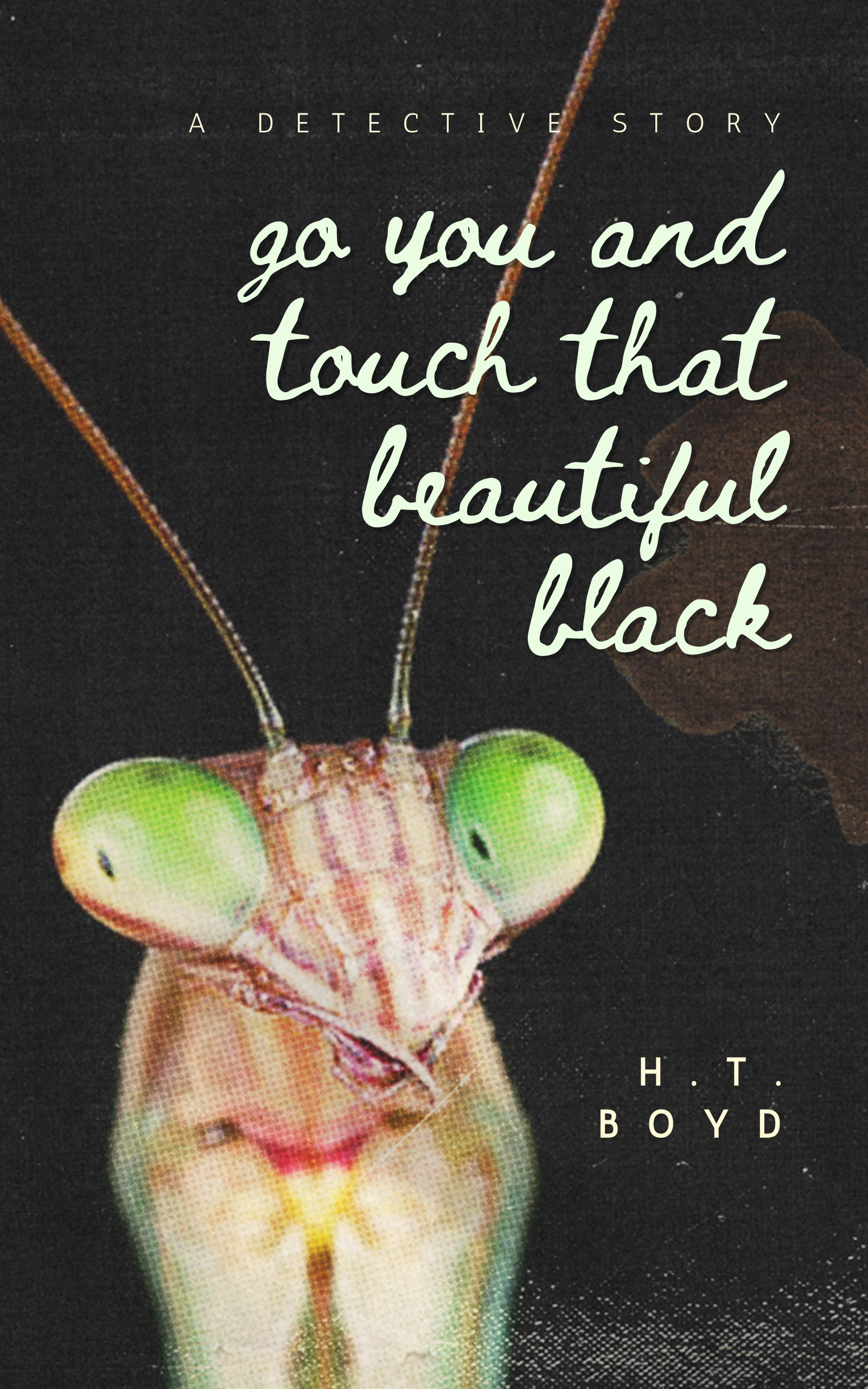 Go You And Touch That Beautiful Black: A Detective Story