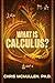 What is calculus? by Chris McMullen