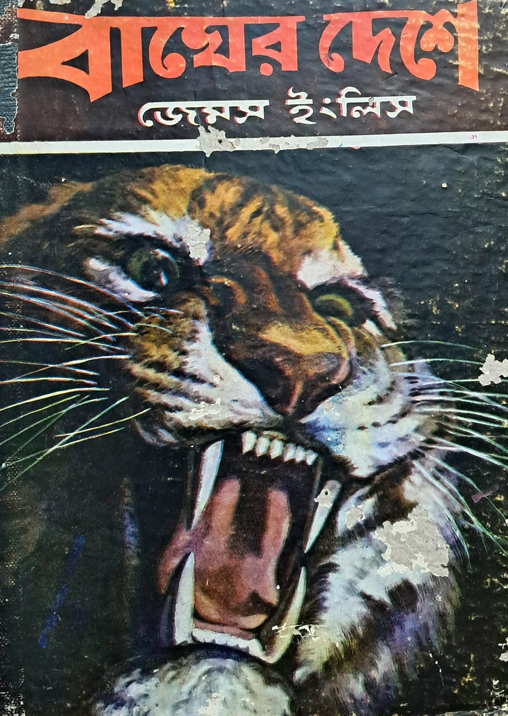 বাঘের দেশে (Hardcover)