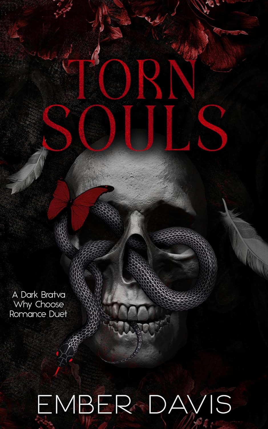 Torn Souls (Bratva Souls Duet, #1)
