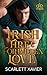 Irish Fire and Forbidden Love