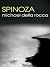 Spinoza by Michael Della Rocca