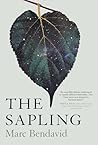 The Sapling: A Novel