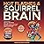 Hot Flashes & Squirrel Brain: Feel Your Best Every Day with Proven Techniques to Lower Inflammation, Balance Hormones, Support ADHD & Menopause, Improve Gut Health, and Boost Energy!