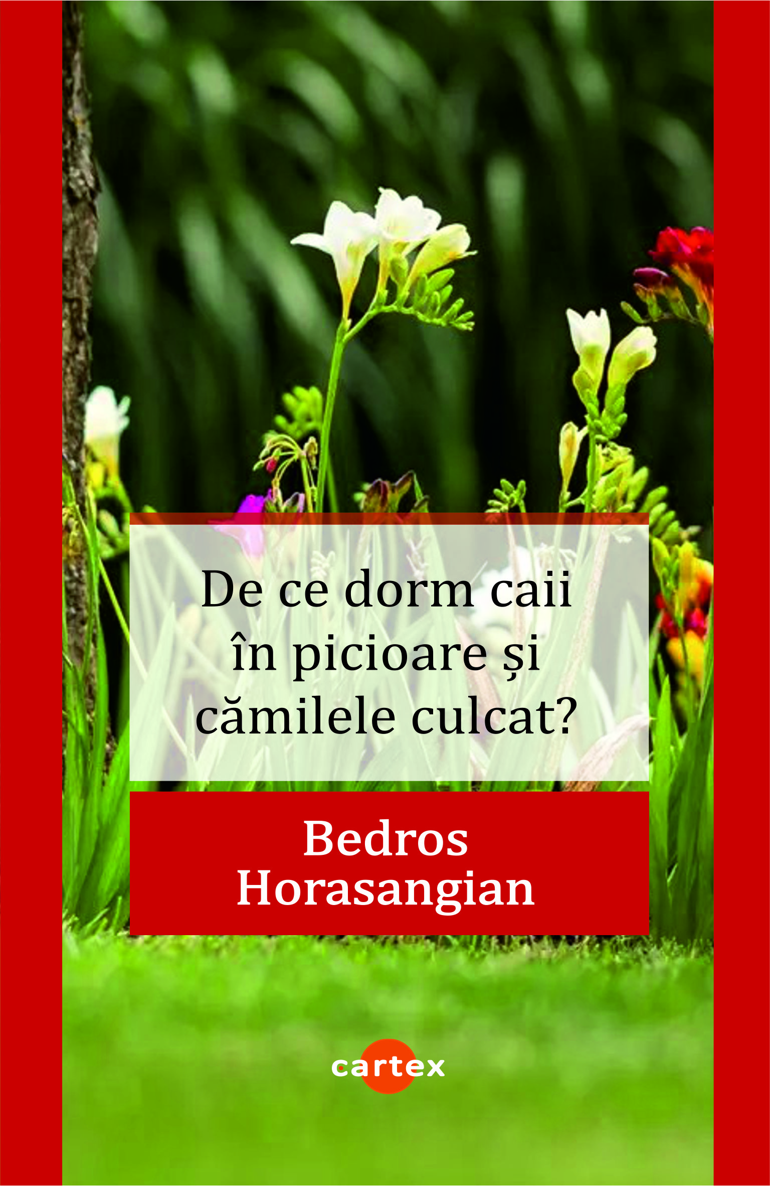 De ce dorm caii în picioare și cămilele culcat?