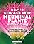 How to Forage for Medicinal Plants without Dying by Brandon Ruiz