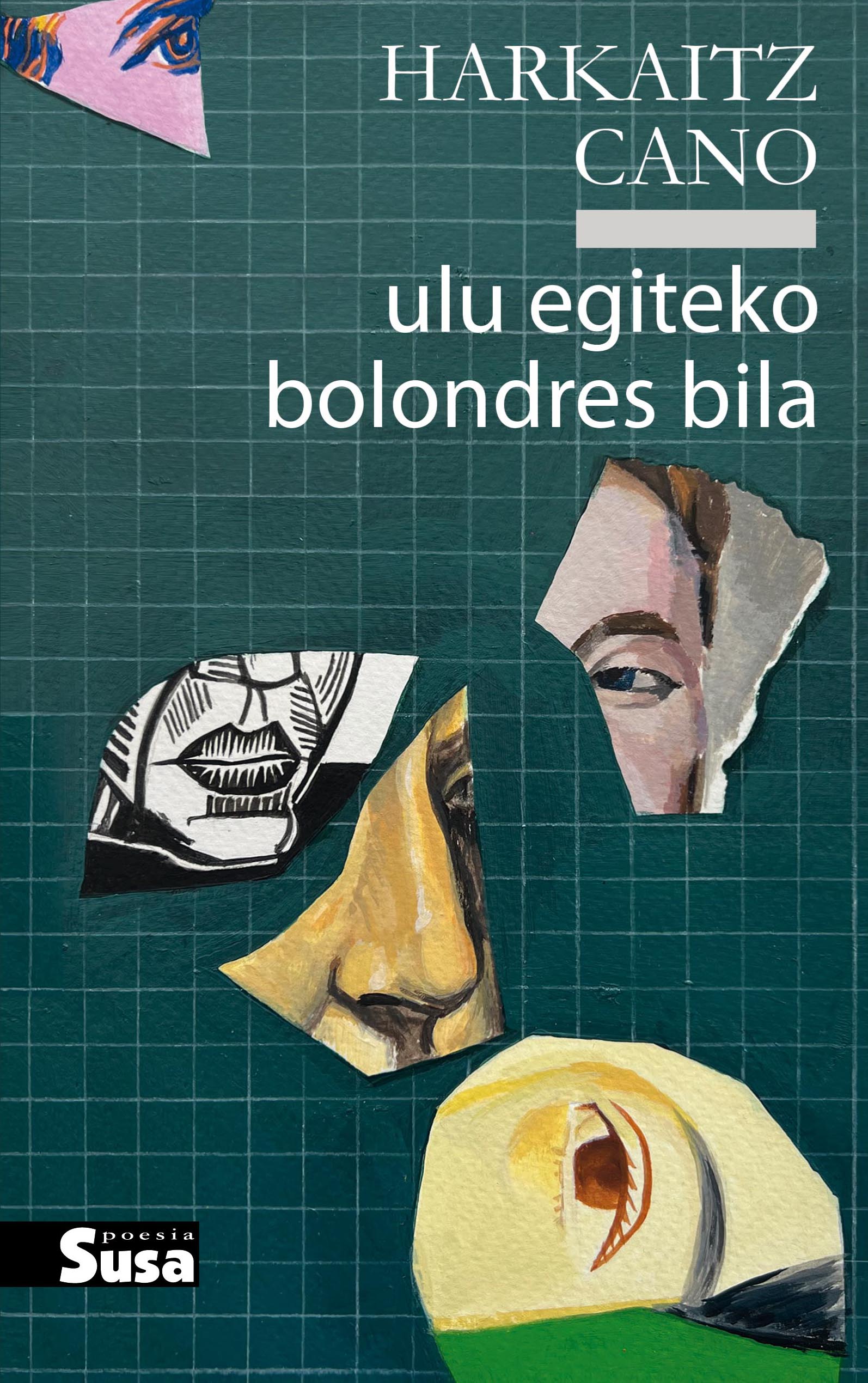 Ulu egiteko bolondres bila (Paperback)