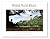 Where Maine Reads: Images o...