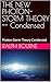 THE NEW PHOTON-STORM THEORY -- Condensed: Photon-Storm Theory Condensed (Ralph Bourne)