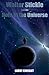 Walter Stickle and the Hole in the Universe (The Adventures of Walter Stickle)