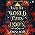 Until the World Falls Down: A Novel