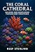 The Coral Cathedral: Buildi...