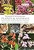 Invasive and Introduced Pla...