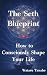 The Seth Blueprint: How to ...