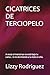 CICATRICES DE TERCIOPELO: A veces el monstruo no está bajo tu cama... si no durmiendo a tu lado en ella. (Spanish Edition)