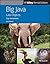 Big Java: Late Objects