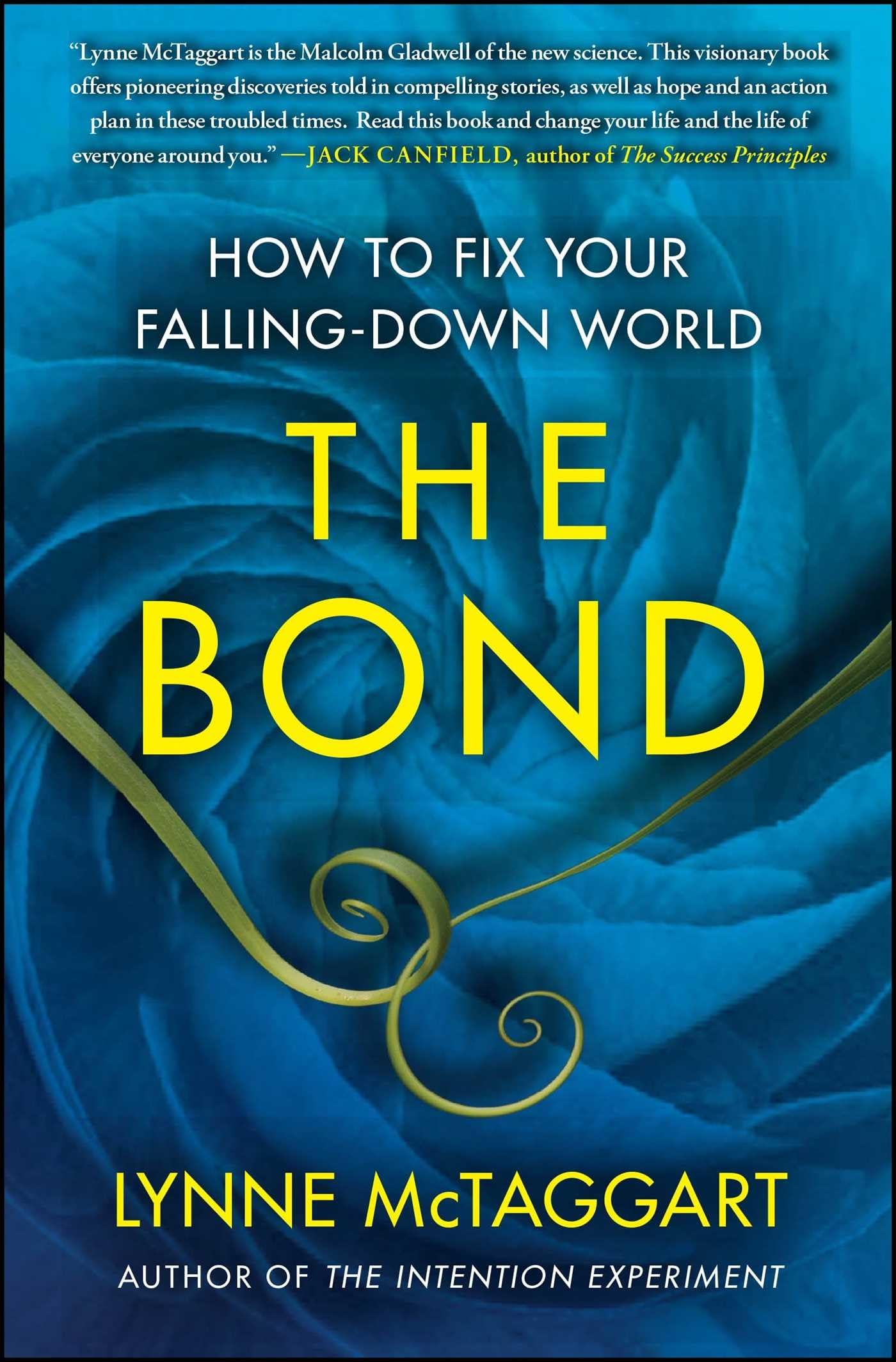 The Bond: The Power of Connection