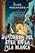 Susurros del Ayer en la Isla Blanca (Spanish Edition)