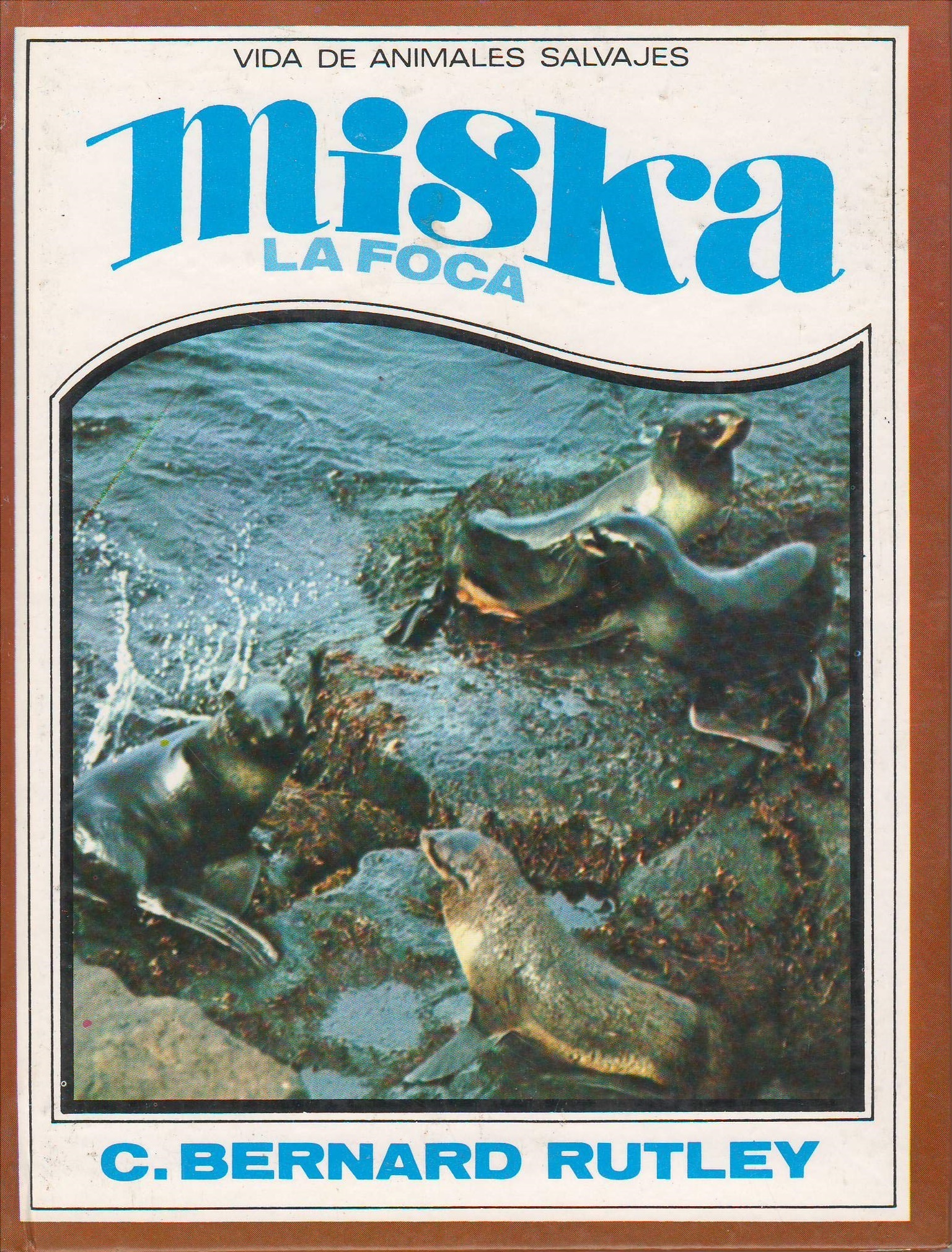 Miska, la foca